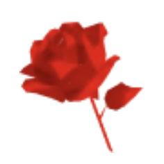 感謝のお葬式編集部